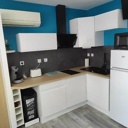 Studio Climatise 50 M.Du Port Saint-Cyprien  Exterior foto